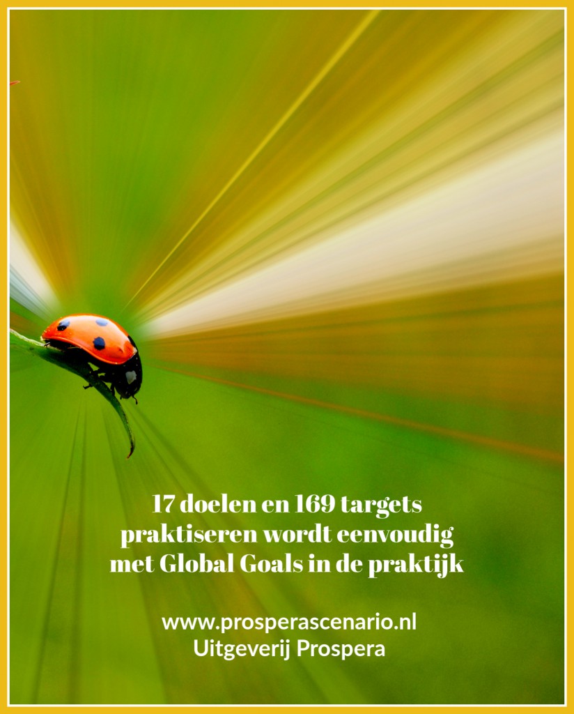 Het lieveheersbeestje is de mascotte van Global Goals in de praktijk.